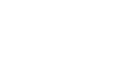 camelot-logo